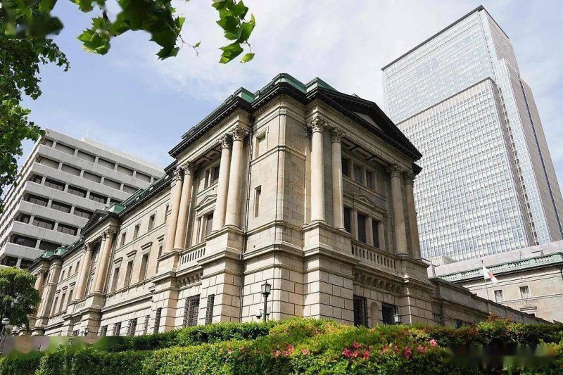 宿松县召开2024年“评股长、考局长”评议会 宿松资讯网
