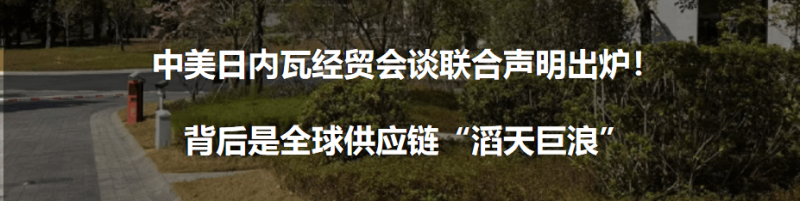 宿松县少先队名师携手 共绘推动新蓝图 宿松资讯网